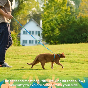 Simbow Cat Harness and Leash Set - Escape Proof Adjustable Cat Harness, Comfortable Soft Lightweight, Use Safe & Easy, Walking Travel Kitten Harness for Small Medium Large Cats