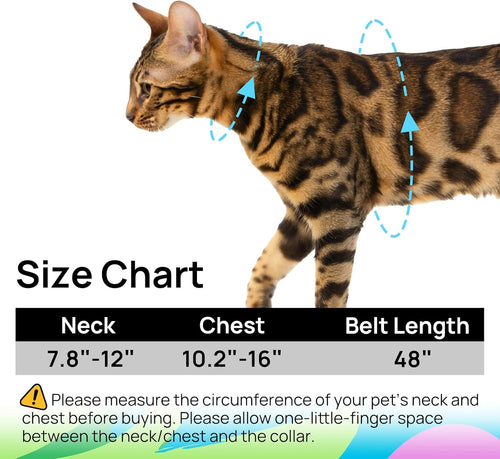Simbow Cat Harness and Leash Set - Escape Proof Adjustable Cat Harness, Comfortable Soft Lightweight, Use Safe & Easy, Walking Travel Kitten Harness for Small Medium Large Cats