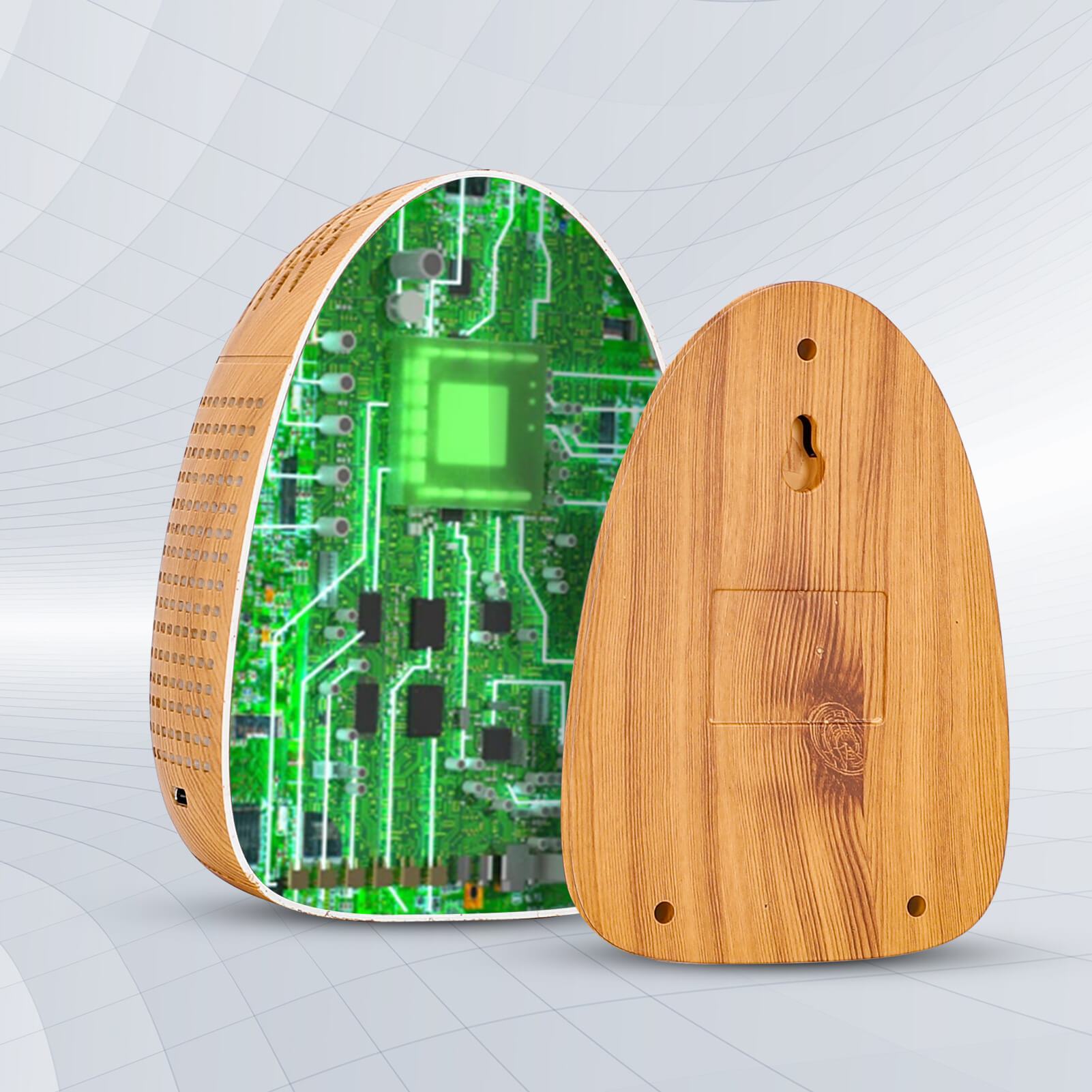 Carefor PT-02 CO2 Meter with Smoke Alarm Temp and Humidity Indoor Gas Analyzer Air Pollution Monitor